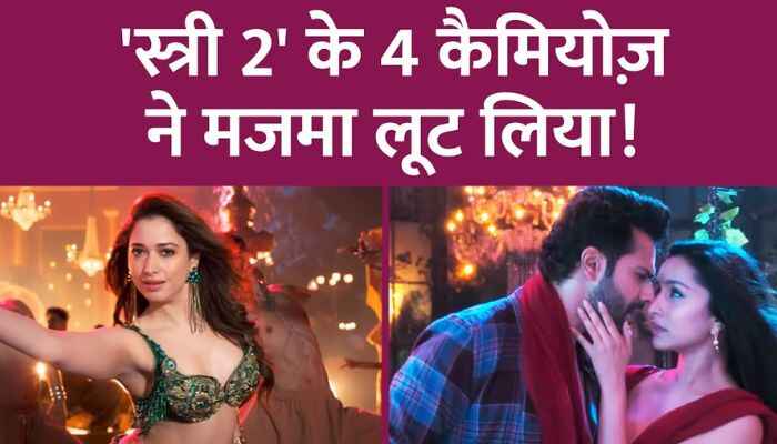 What were the 4 cameos of Stree 2 and the whole story behind them