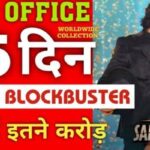 Saripodhaa Sanivaaram Box Office Collection Day 15