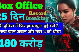 Stree 2 Box Office Collection Day 25