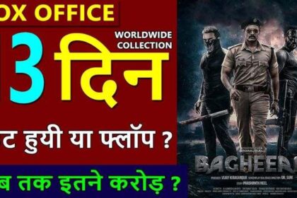 Bagheera Box Office Collection Day 13