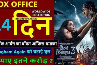 Bhool Bhulaiyaa 3 Box Office Collection Day 14