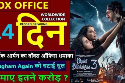 Bhool Bhulaiyaa 3 Box Office Collection Day 14