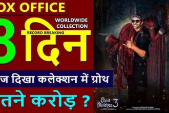 Bhool Bhulaiyaa3 Box Office Collection Day 8